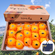 [설맞이초특가] 백화점납품 제주우수농가 한라봉 선물세트, 1박스, 3kg (감사답례용)