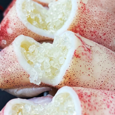 [특가런칭] 새벽직송 쫀득탱글 고단백 총알한치, 1개, 1kg