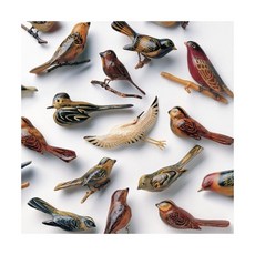 (수입 LP) Kishi Bashi Omoiyari [New Vinyl LP], (수입 LP) Kishi Bashi Omoiyari [