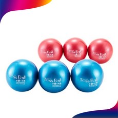 뉴스포츠 토스볼 6개 1세트 숫자 타겟 학교체육 플라잉디스크