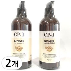 씨피원 진저 퓨리파잉 샴푸, 500ml, 2개