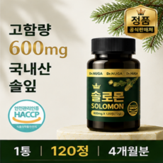 Dr. NUGA 국산 솔잎 추출물 솔로몬 정, 1세트, 120회분