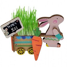 새싹키우기키트 보리 토끼 세트1인용 식물키우기 초등학생, 단품