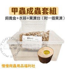 慢慢爬 甲蟲成蟲飼養套組 飼養盒 水苔 果凍台 附果凍 獨角仙 鍬形蟲 初學者適用, 1個