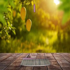 삼정크린 슬림방비 대 청소도구, 1개