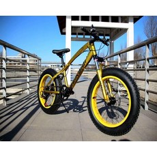 광폭타이어 팻자전거 바퀴큰 경량 타이어 펫자전거, 20inch, 7단, 골드 20인치