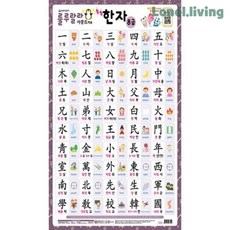 로넬리빙 새샘 룰루랄라한자 사운드벽보 520x765mm 한자낱말 소리학습 1개입