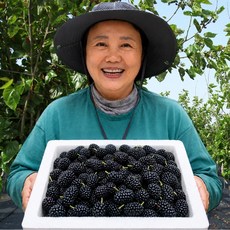 [상우1%] 산지직송 국내산 특품 햇 급냉오디, 1개, 1kg