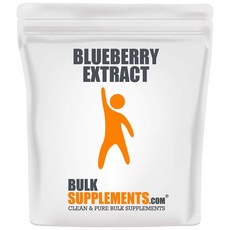 BulkSupplements Blueberry Extract Powder 벌크서플리먼트 블루베리 추출 파우더 분말 500g, 1개