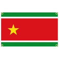 60×90 90x150 120×180CM 과들루프 UPLG 깃발 장식용 폴리에스테르 인쇄 배너 태피스트리, 5) FG90QJY013109 - 60x90 센치메터