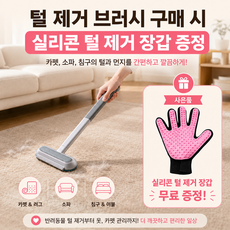 반려동물 털 제거 브러쉬 강아지 고양이 침구 소파 카펫 먼지 청소 롤러 실리콘 장갑 포함, 블루, 1개