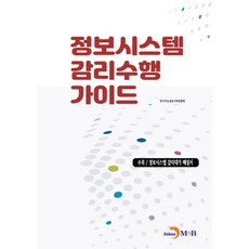 정보시스템 감리수행 가이드, 한국지능정보사회진흥원 저, 진한엠앤비