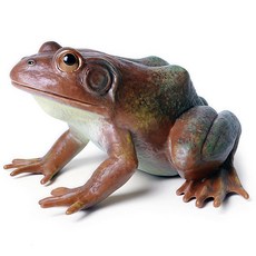 Gemini&Genius Tree Frog 백이어 장식 카니발 게임을 위한 현실적인 핸드 페인팅 장난감 Bullfrog 피규어 플라스틱 개구리 고무 동물 교육 역할 놀이 용 포