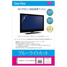 JAPANNEXT 재팬넥스트 JN-IPS3150WQHDR165 31.5인치 블루라이트 차단 액정 보호 필름