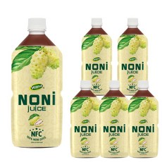 진짜 원액 그대로 착즙 노니원액 100% 발효숙성 노니주스 1L 대용량, 6개, 1000ml
