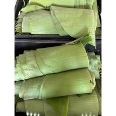香蕉葉 大量10kg以上出貨（一單限20kg), 1個