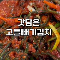 당일제조 맛있는 전라도 국내산 고들빼기김치 1kg, 1개