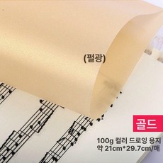 컬러 트레이싱지 스크랩북 용지 멀티 다꾸 반투명 투명한, 1개, A4 100g 베이지골드 20장
