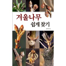 겨울나무 쉽게 찾기