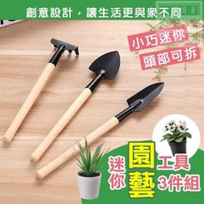 不鏽鋼園藝工具三件組 木質手柄 鐵鍬 小鏟 園藝用品, 1個
