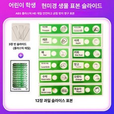 프레파라트 48종 표본 실험도구 식물 현미경 체험, 12장 과일 표본 연녹색, 기본 색상