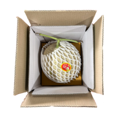 국내산 초고당도 머스크 메론, 1개, 1수 1.5KG/내외