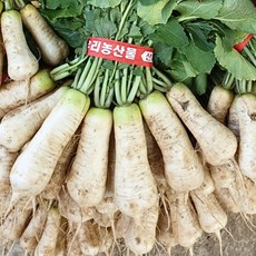 강원도 청정 알타리무 농장직송 특품, 1박스, 5단 (10kg 내외)