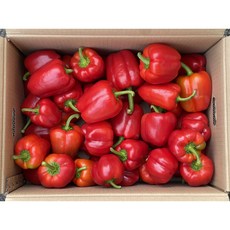 미소진 맛있는 국산 파프리카 빨강, 1박스, 1kg(빨강)