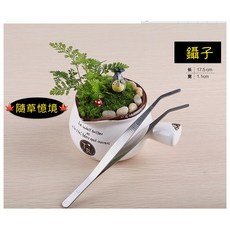 （1入/3入）優質不鏽鋼 彎頭 鑷子 手工 鑷子 夾子 17cm 微景觀工具 園藝工具 鑷子 隨草憶境, 1個, 1入（17cm長）