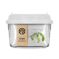 옆집샵 장구벌레 관찰 키트 모기 유충 생태 학습 초등 과학 실험용 생물, 1개