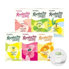 콤부차 6가지맛 혼합구성 60스틱 + 보틀 (레몬/베리/유자/피치/샤인머스캣/파인애플), 없음, 5g, 1, 10