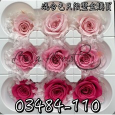 日本大地農園不凋永生玫瑰花03484九輪混合色 花藝夢乾燥花永生花 盒裝, 110 粉色系