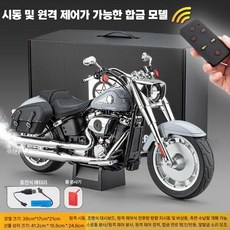 할리 데이비슨 원격 점화 및 리얼 시동 프라모델 피규어 1/6, 크레이, FJ-146