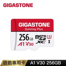 GIGASTONE Gaming Plus microSDXC A1 V30 256GB 遊戲專用記憶卡, 1個, 1GB