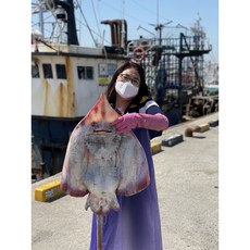 국산 홍어 흑산도 홍어 삭힌 홍어회 500g 1KG, 1개, 선물포장