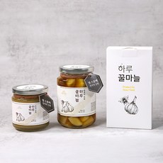 국산 꿀마늘 하루 한스푼 내 면역력 지킴이, 1박스, [병 간마늘]하루꿀마늘280g, 280g