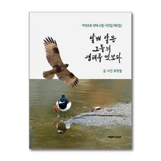 날개 달은 그들의 생태를 엿보다:류영렬 야생조류 생태 수필 사진집 제3집, 에세이스트사, 류영렬 저