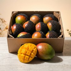 고당도 프리미엄 애플망고 페루 브라질산, 1박스, 4kg (8-10과내외)