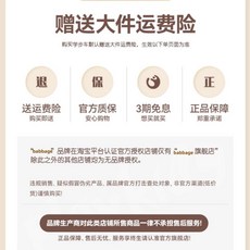 보조 의자 바퀴 연결 좌석 손잡이 여행용 없음 A타입 쌍둥이 발판, D. 공장 직판 평생 보증 대형 품목 무료 배