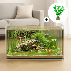 솜솜스퀘어 고강도 PET 금붕어 열대어 수조 어항 세트, 1개, 투명