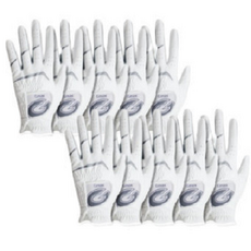 지맥스 남성용 KPGA 골프장갑 GMG17015 왼손용 10p, 화이트, 10개