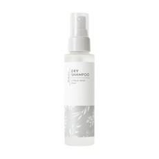삶의 나무 Kaori Deo 카오리데오 드라이 샴푸 감귤류 민트 95ml, 1개, 1g