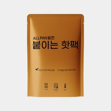 올판 정직한 붙이는 핫팩 42g 12시간 지속 표준형 핫팩, 10개