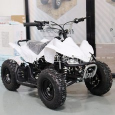 49cc 소형 어린이용 4륜 전기 오토바이 전동 자동차 장난감 남녀공용