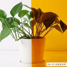 【開發票/統編】彩色裝飾貼膜 玻璃隔熱膜 窗戶玻璃貼 透明透光 防曬隔熱 炫彩鐳射膜 自帶背膠, 1個, 金黃色,30*100公分