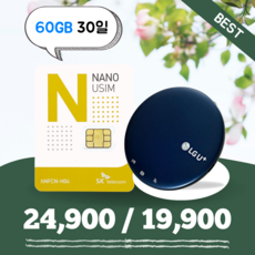 [데이타팡] SKT 휴대용 와이파이 30일 60GB (평일기준 오후3시까지 주문시 당일출고), 1개, 총 60GB, 처음이용