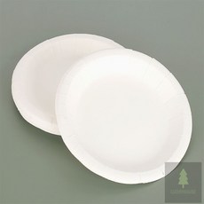 행운과 일회용 종이접시 8개 생일파티접시