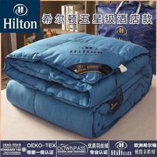 사계절 이불 이불 호텔 다운이불 거위털 침구, R. 220x240cm6 진 봄과 가을