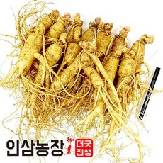 더굿진생 인삼 수삼 금산인삼 삼계삼 350g, 2개, (세척안함)알뜰형못난이난발파삼350g(7~9뿌리)