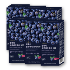 포어퀸즈 빌록시 블루베리 퓨레 100 스틱 14포, 280g, 6개